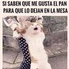 juarez1378